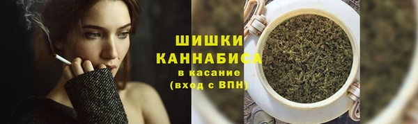 шишки Алексин
