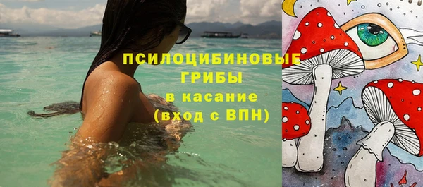 шишки Алексин