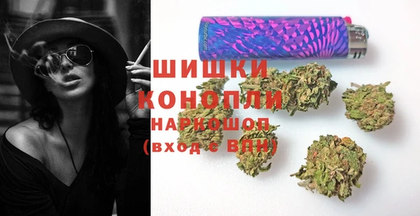 шишки Алексин