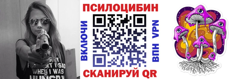 Псилоцибиновые грибы прущие грибы  Бакал 
